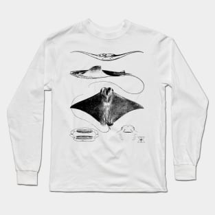 Stingray Anatomy | Sharks Ocean Sea Animal Science Long Sleeve T-Shirt